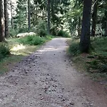 Apartamento Herzerl Sankt Englmar