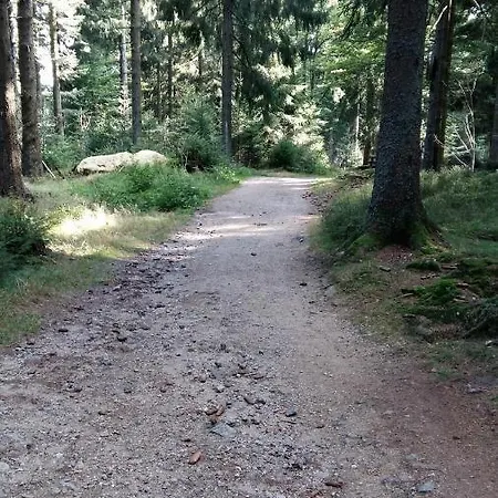Apartament Herzerl Sankt Englmar