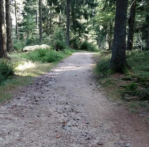 Appartement Herzerl Sankt Englmar